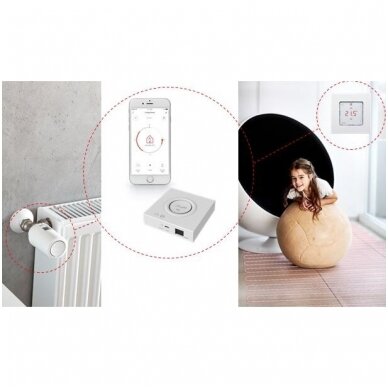 Zigbee modulis Danfoss Icon 2